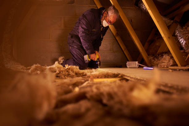 Best Insulation for New Construction  in Round Lake Park, IL